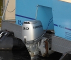 Honda-30-PS-freederike-freedolin-freeda-freedo-Kopie