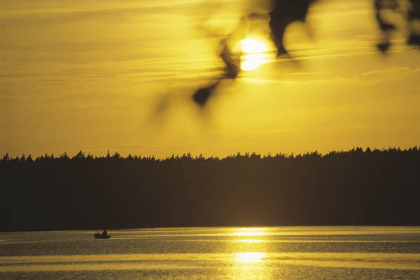 Im Herbst 3 Wochen buchen, 2 bezahlen