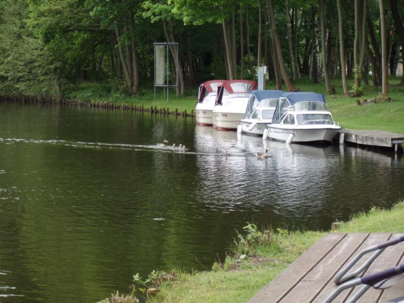 Kein Hochwasser an der Havel