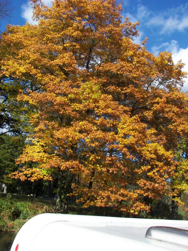 Indian Summer